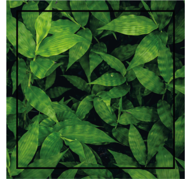 Sous verre motif de feuilles vertes luxuriantes - TenStickers