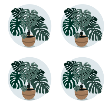 Sous verre moderne illustration de plante monstera - TenStickers