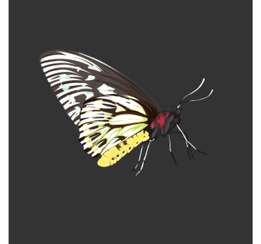 Sous verre bière art de papillons colorés - TenStickers