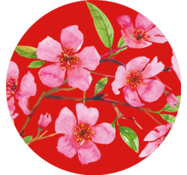 Sous verre fleurs rose Épanouies - TenStickers