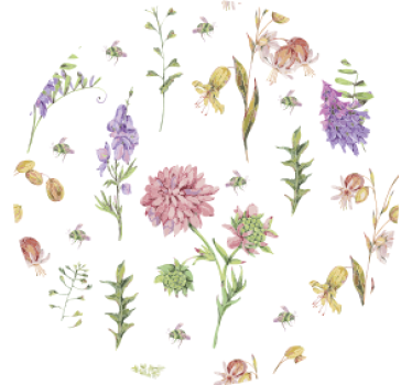 Sous verre accents floraux élégants - TenStickers
