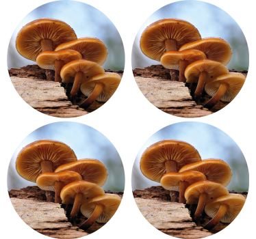 Sous verre moderne arrangement de champignons - TenStickers