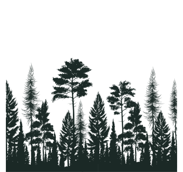 Sous verre silhouette de grands pins - TenStickers
