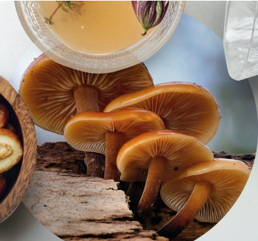 Sous verre moderne arrangement de champignons - TenStickers