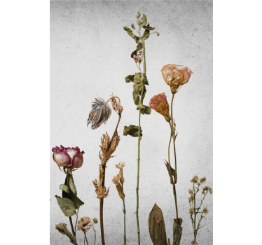 Poster fleurs et plantes arrangement de fleurs sèches - TenStickers