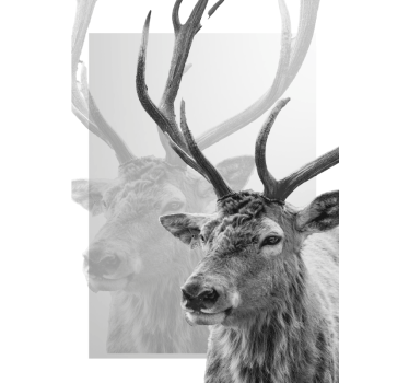 Poster illustrant un renne en noir et blanc - TenStickers