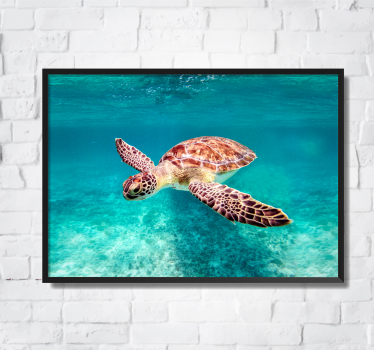 Poster animaux tortue de mer - TenStickers