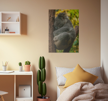 Poster chambre ado koala qui dort - TenStickers