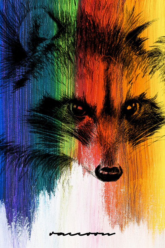 Poster salon raton laveur arc-en-ciel - TenStickers