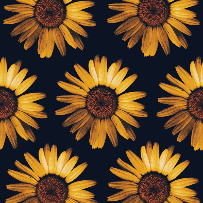 Poster salon tournesol jaune - TenStickers