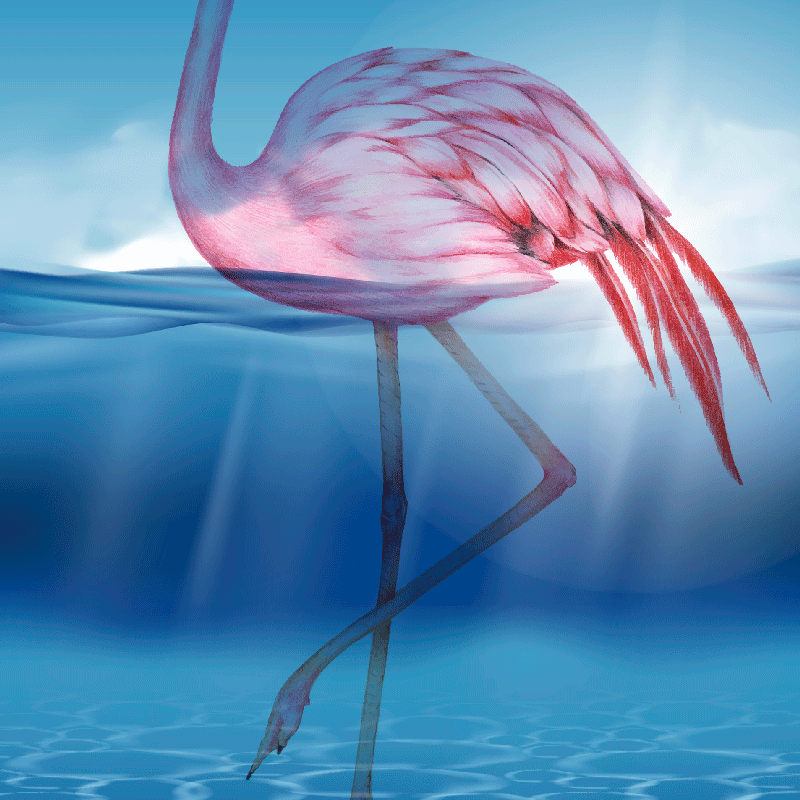 Poster salon design sous-marin de flamant - TenStickers