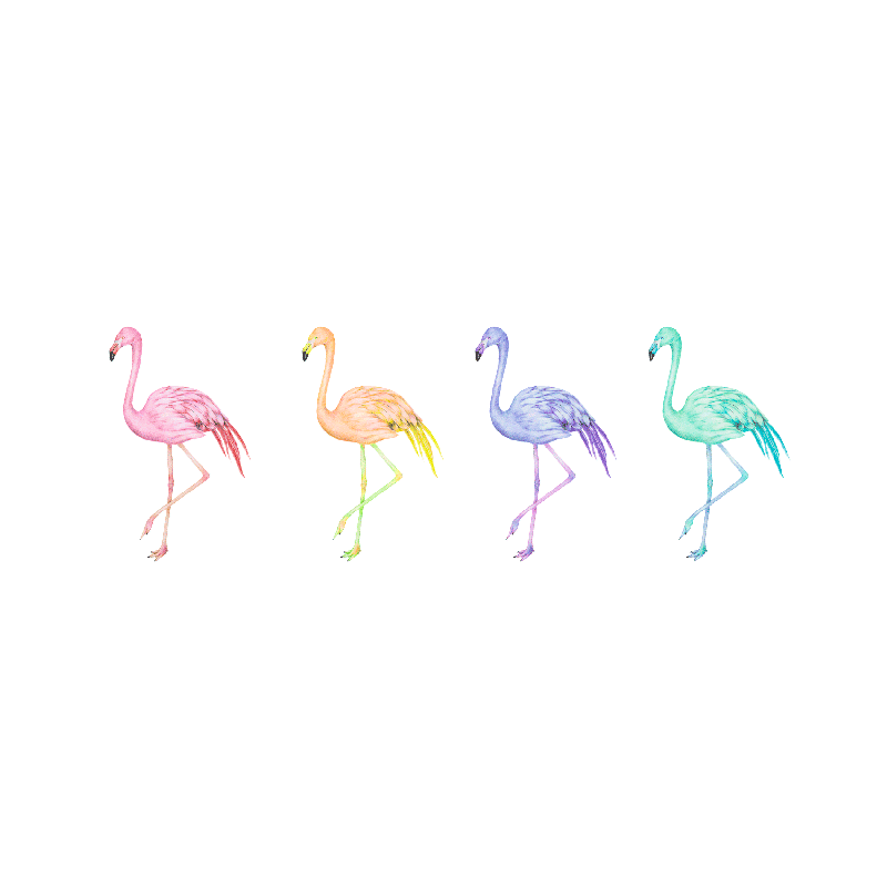 Poster salon flamants colorés sans couture - TenStickers