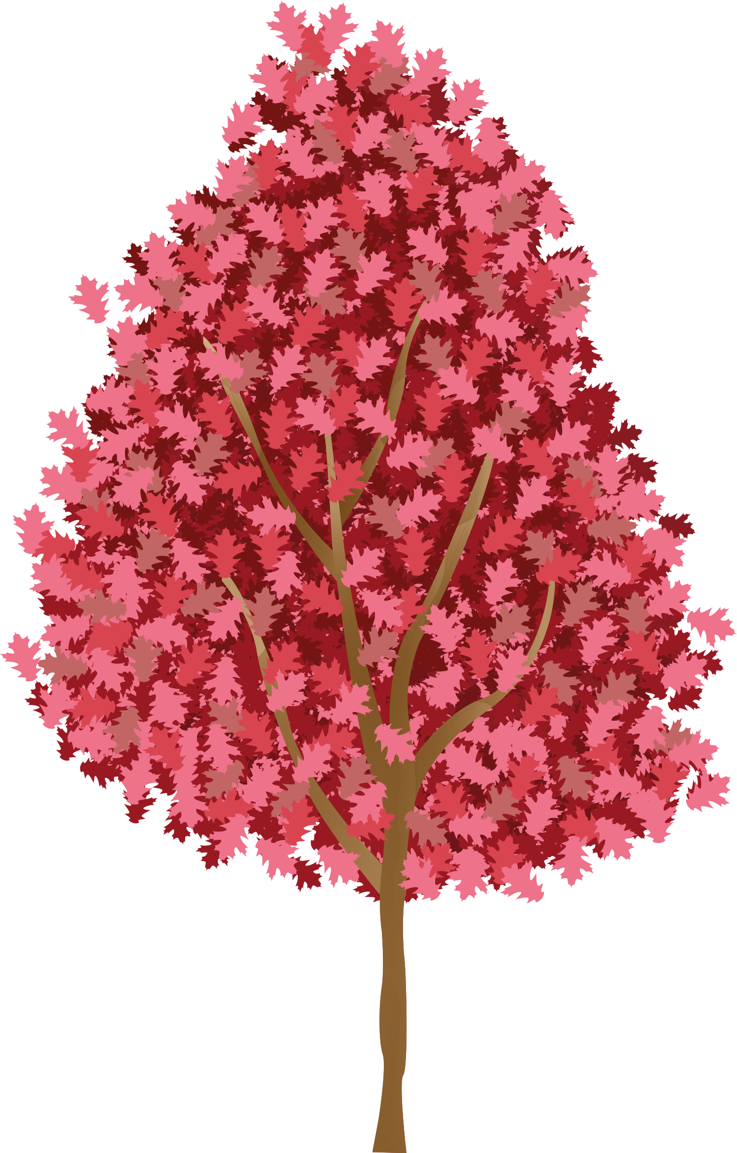 Poster arbre avec des fleurs roses - TenStickers