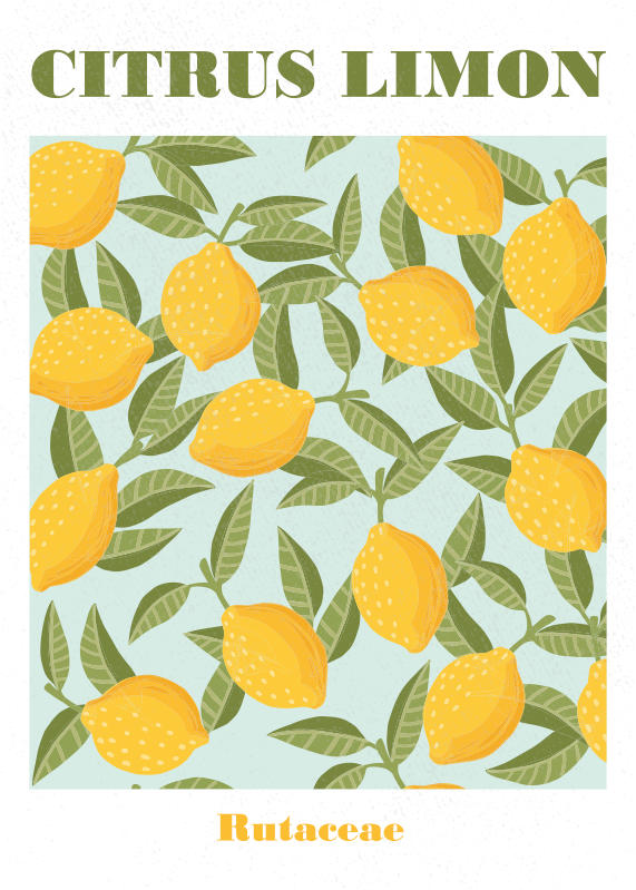 Poster motif citrons jaunes - TenStickers