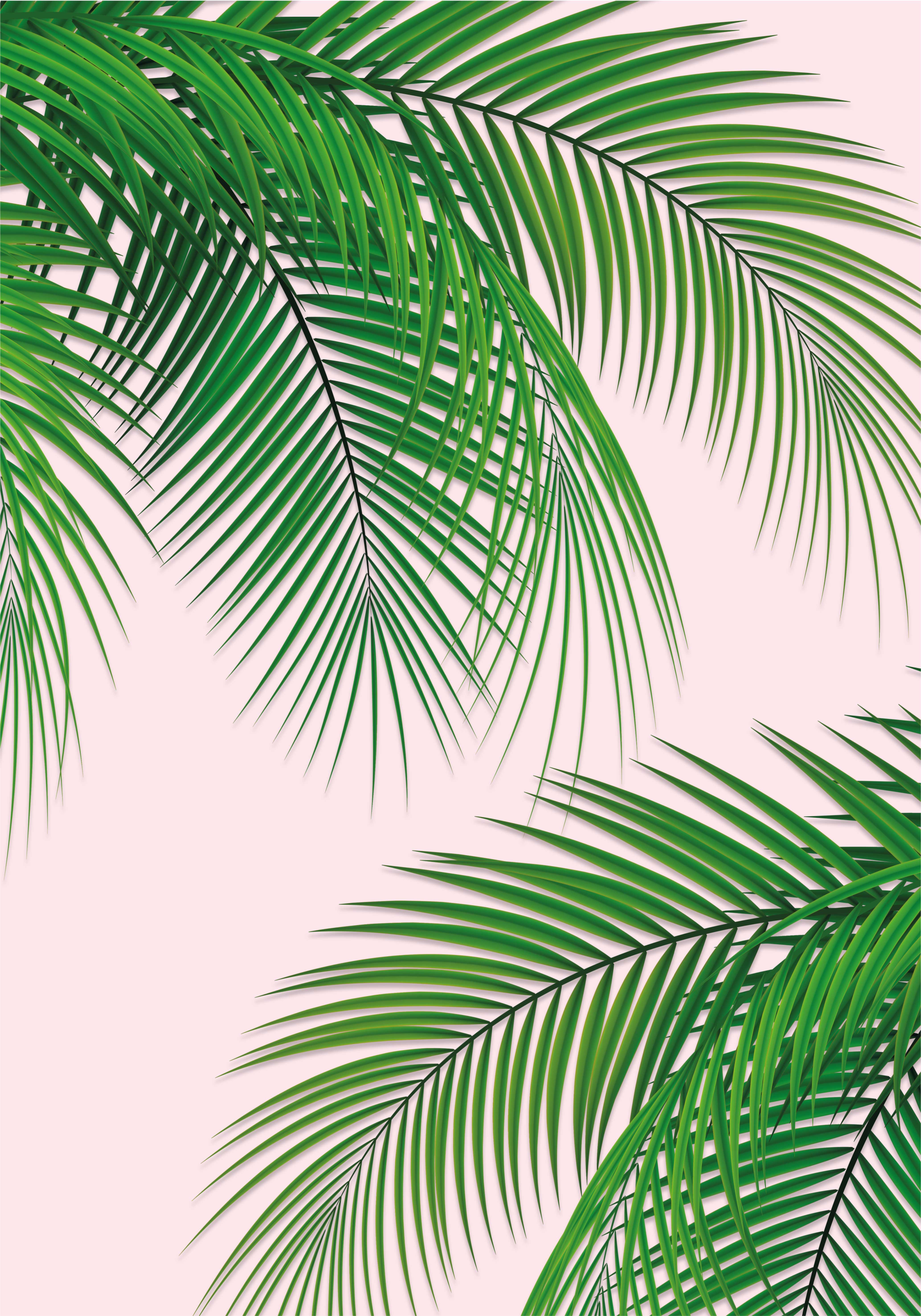 Poster arbre feuille tropicale - TenStickers
