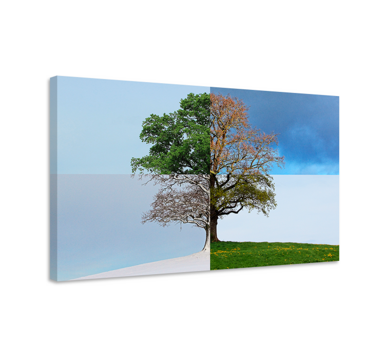 Tableau arbres contraste saisonnier - TenStickers