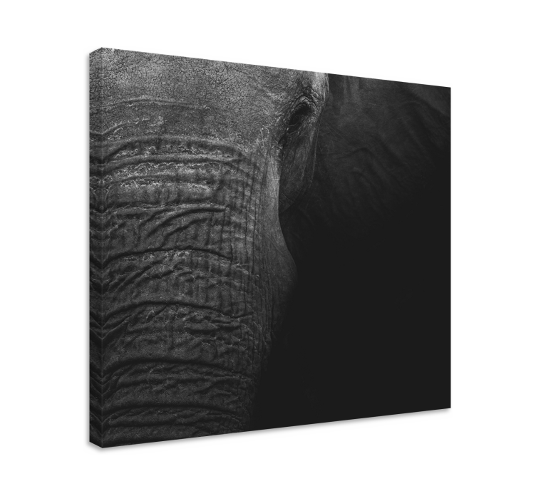 Tableau éléphants portrait d'éléphant majestueux - TenStickers
