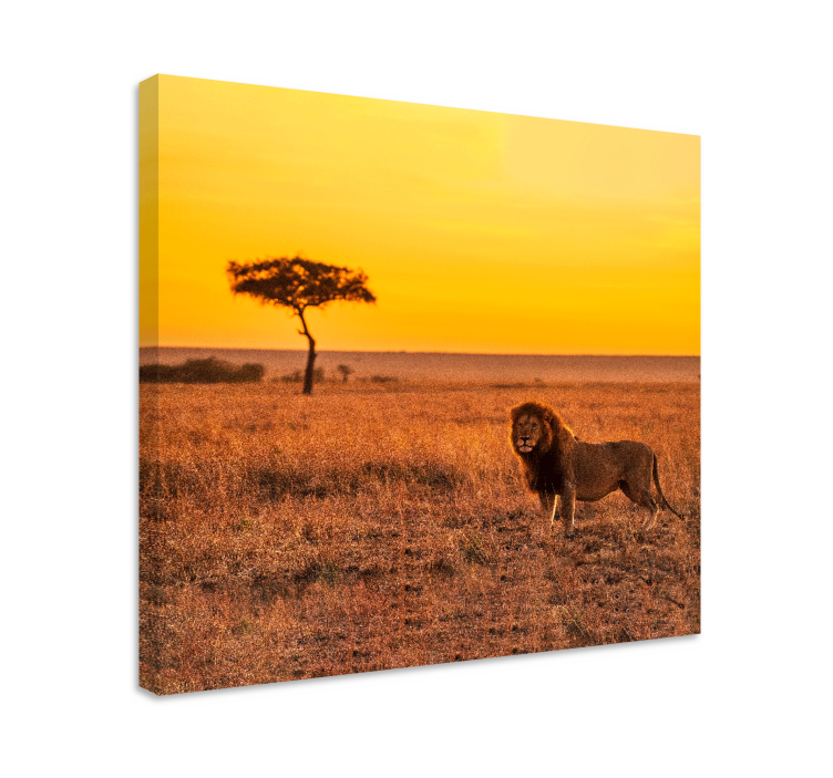 Tableau animal Arbre de savane sauvage le soir - TenStickers