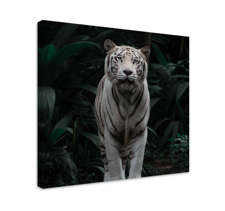 Tableau animaux tigre blanc majestueux - TenStickers