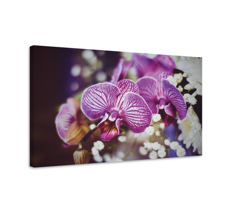 Tableau fleurs et plantes détails des fleurs d'orchidée - TenStickers