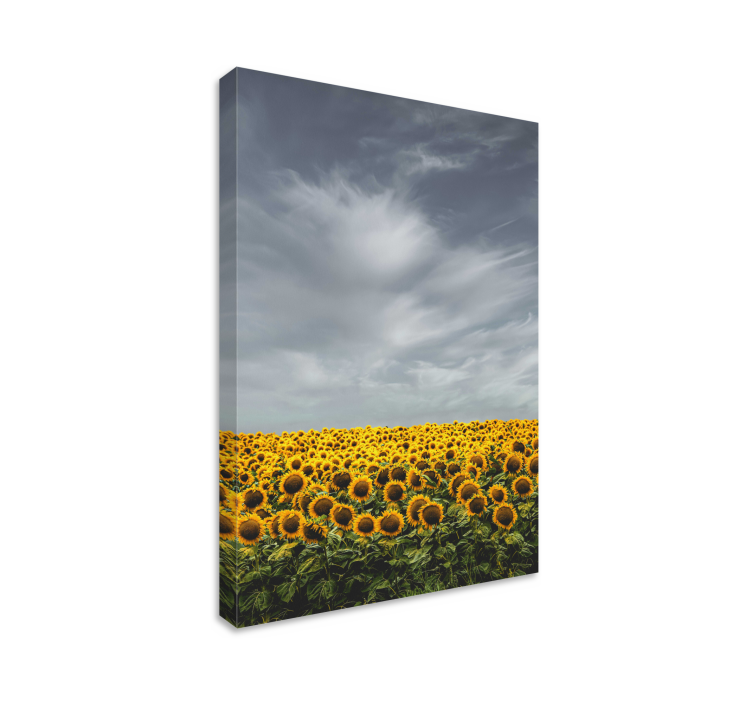 Tableau fleurs et plantes prairie de tournesols - TenStickers