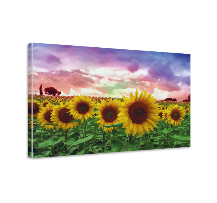 Tableau fleurs et plantes champ de tournesols vibrant - TenStickers
