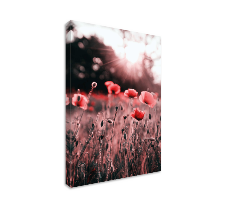 Tableau fleurs et plantes Éclat de coquelicots - TenStickers