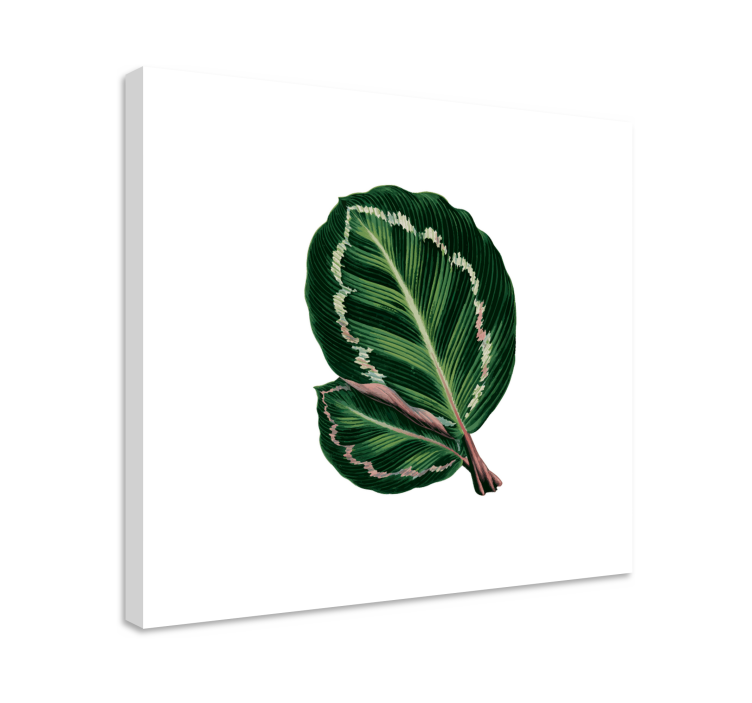 Tableau fleurs et plantes design grandes feuilles - TenStickers