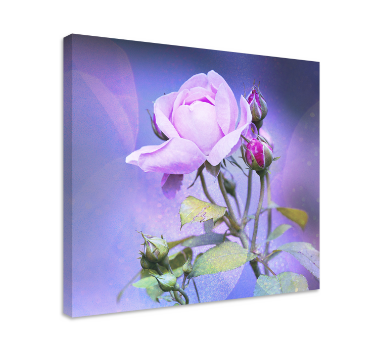 Tableau fleurs et plantes rose en pleine floraison - TenStickers