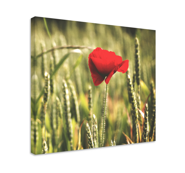 Tableau fleurs et plantes Éclosion de fleurs rouges - TenStickers