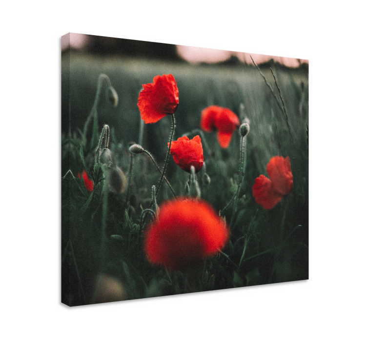 Tableau fleurs et plantes pétales de coquelicots vifs - TenStickers