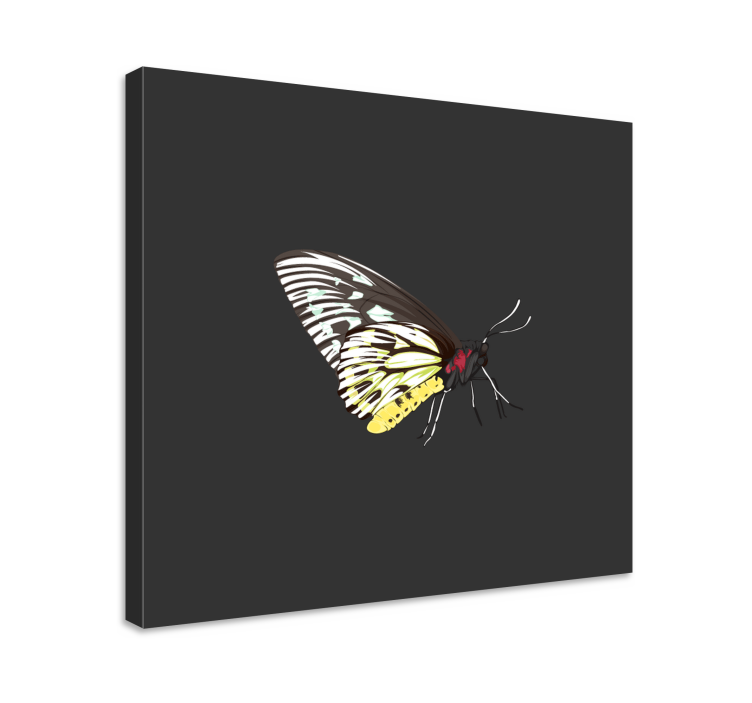 Tableau papillons profil élégant de papillon - TenStickers