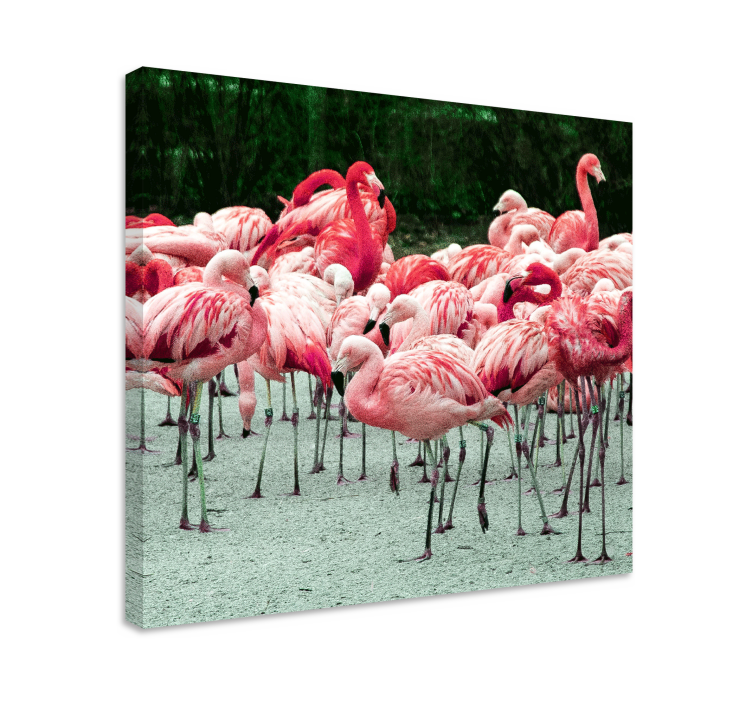 Tableau oiseaux flamants roses en vol - TenStickers