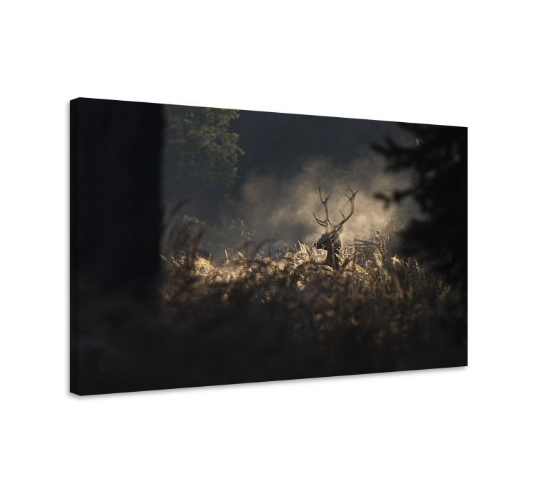 Tableau cerfs contour majestueux - TenStickers