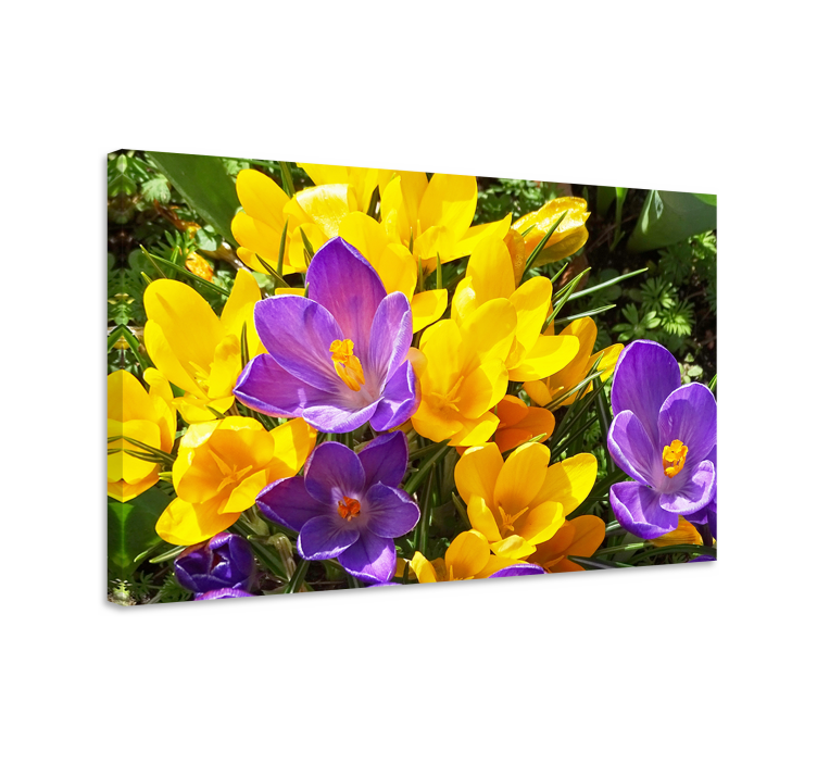 Tableau fleurs et plantes Éclatantes fleurs de printemps - TenStickers