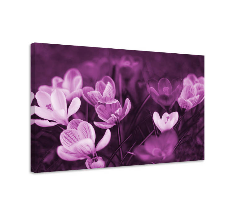 Tableau fleurs et plantes affichage floral épanoui - TenStickers