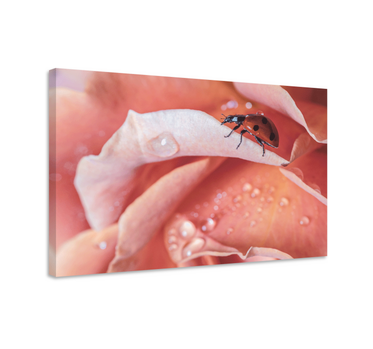 Tableau fleurs et plantes coccinelle sur rose - TenStickers