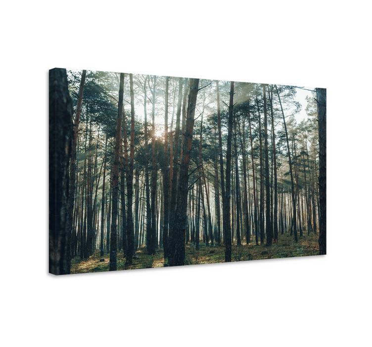 Tableau arbres Éclat de forêt majestueuse - TenStickers