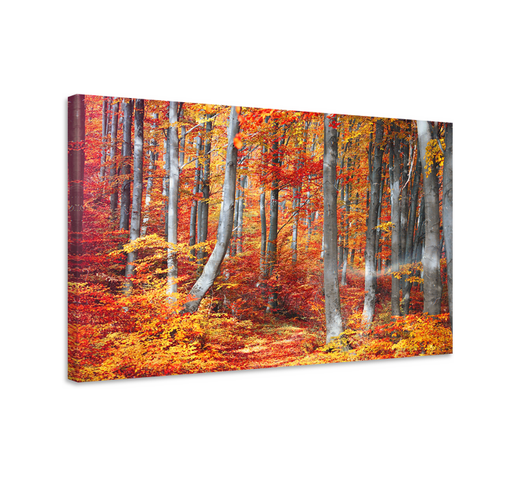 Tableau paysages chemins forestiers d'automne - TenStickers