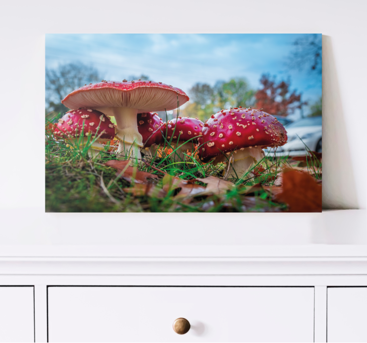 Tableau fleurs et plantes champignons rouges - TenStickers