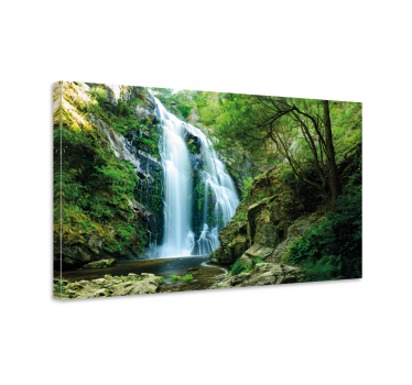 Tableau arbre Cascade en forêt - TenStickers
