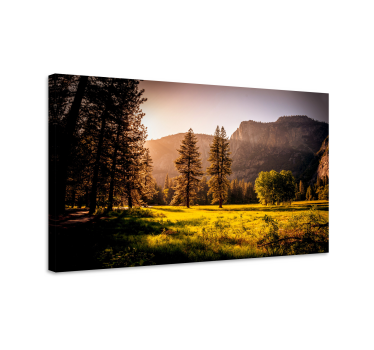 Tableau paysages forêt ensoleillée dorée - TenStickers