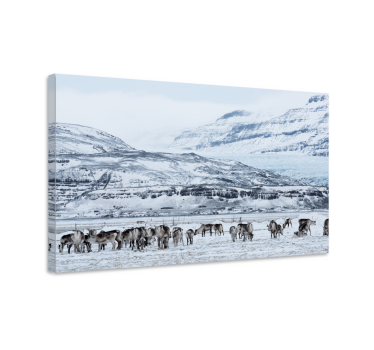Tableau dinosaures conduite de rennes - TenStickers