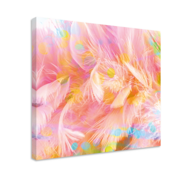 Tableau plumes motifs délicats de plumes - TenStickers