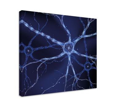 Tableau abstrait Neurones cérébraux - TenStickers