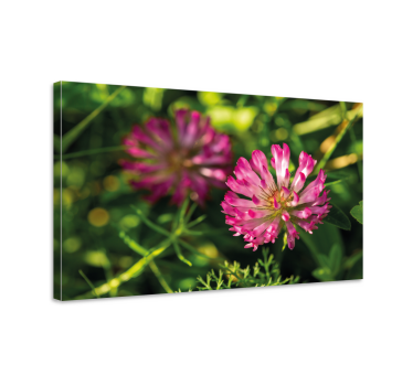 Tableau fleurs et plantes bouquet de fleurs roses - TenStickers