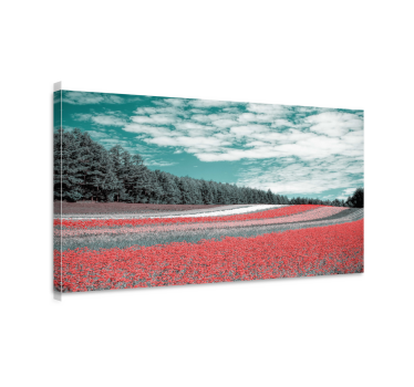 Tableau paysages champ de fleurs éclatant - TenStickers