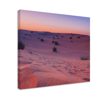 Tableau paysages dunes de désert sérénité - TenStickers