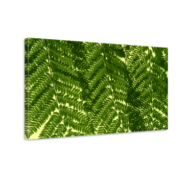 Tableau fleurs et plantes feuilles de fougère - TenStickers