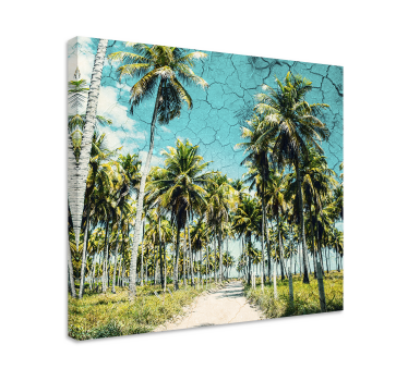 Tableau paysages allée de palmiers tropicaux - TenStickers